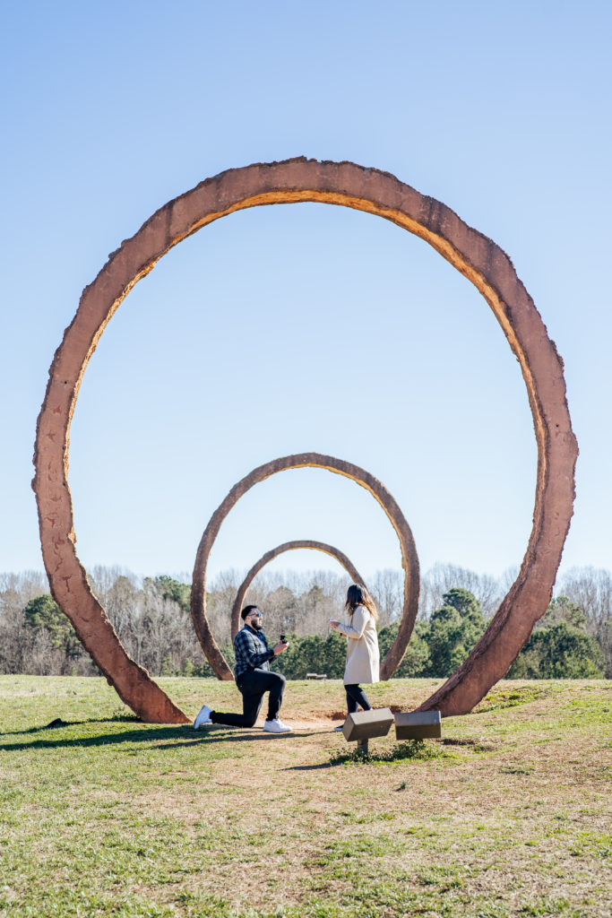 surprise proposal at the North Carolina Museum of Art